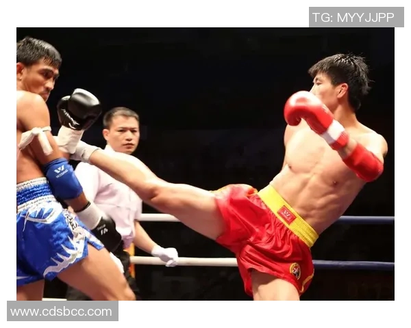 中国散打与泰拳的对决分析与技巧比较探讨